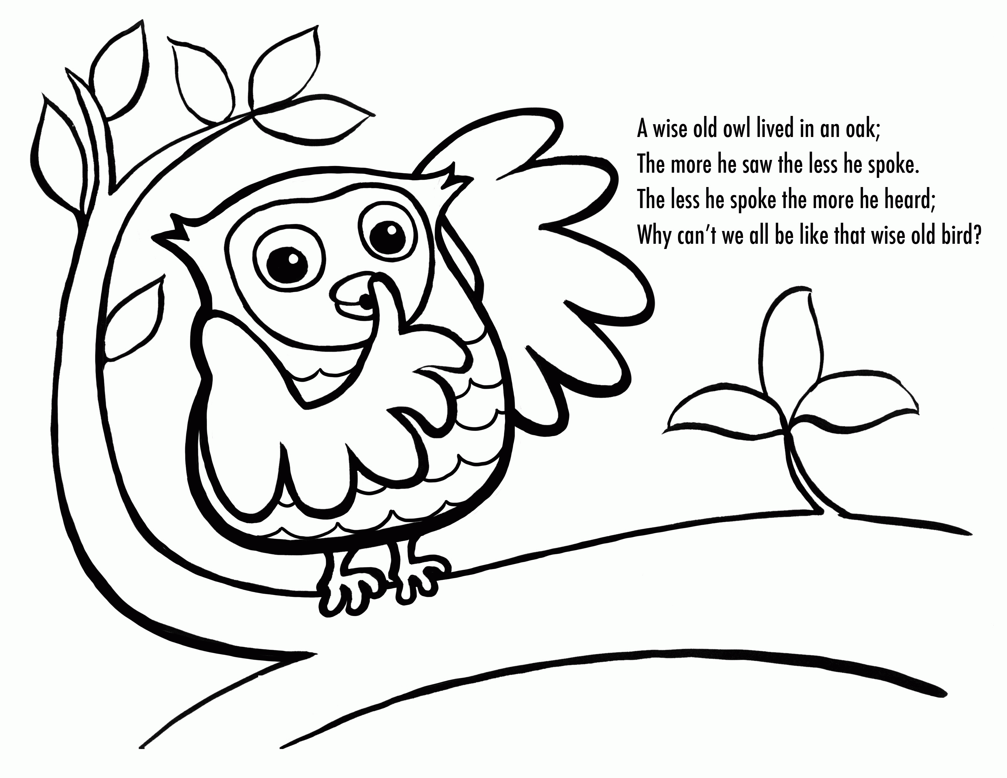 Printable Owl Coloring Pages Kids - Colorine.net | #14281