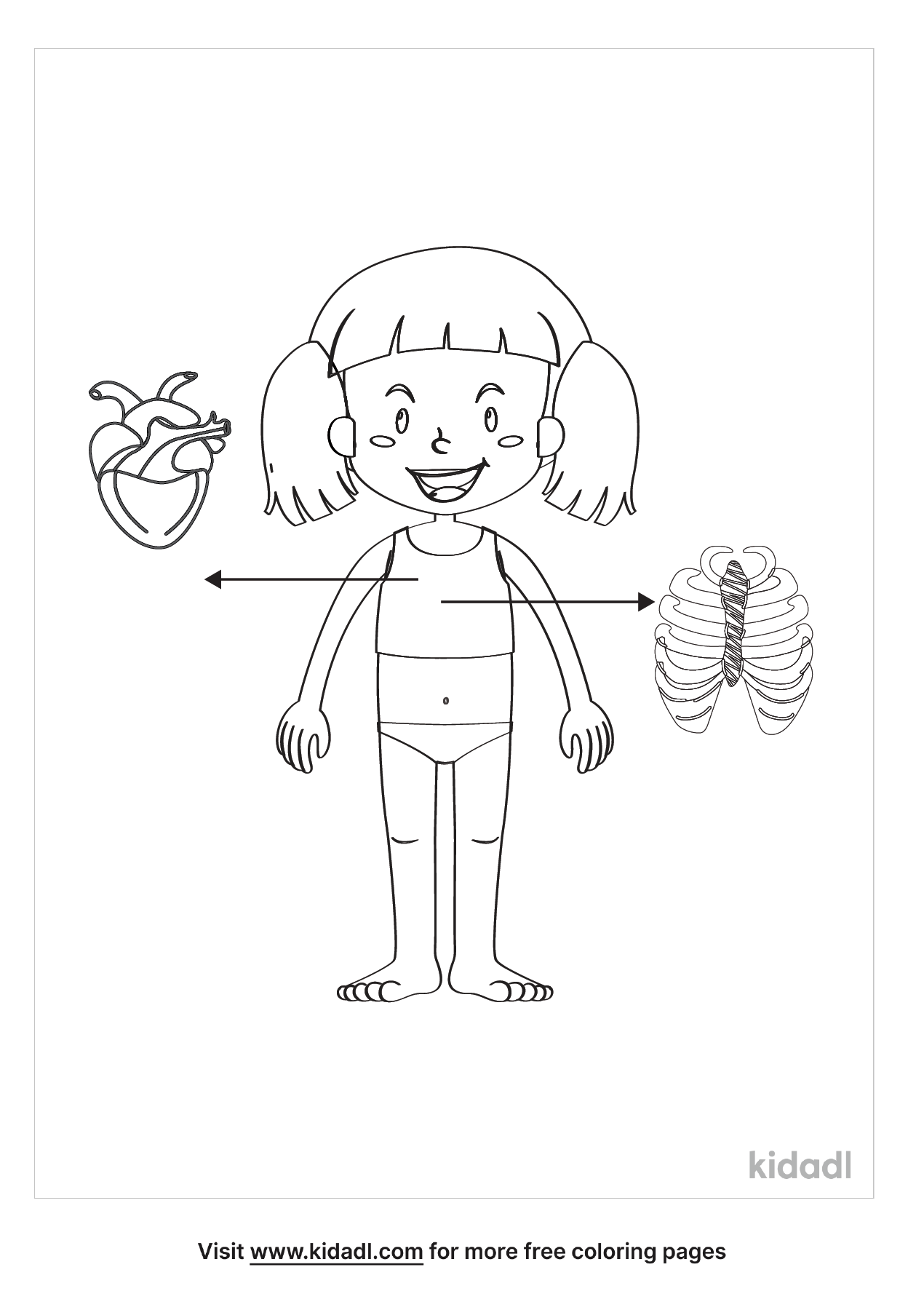 Human Anatomy For Kids Coloring Pages | Free Human-body Coloring Pages |  Kidadl
