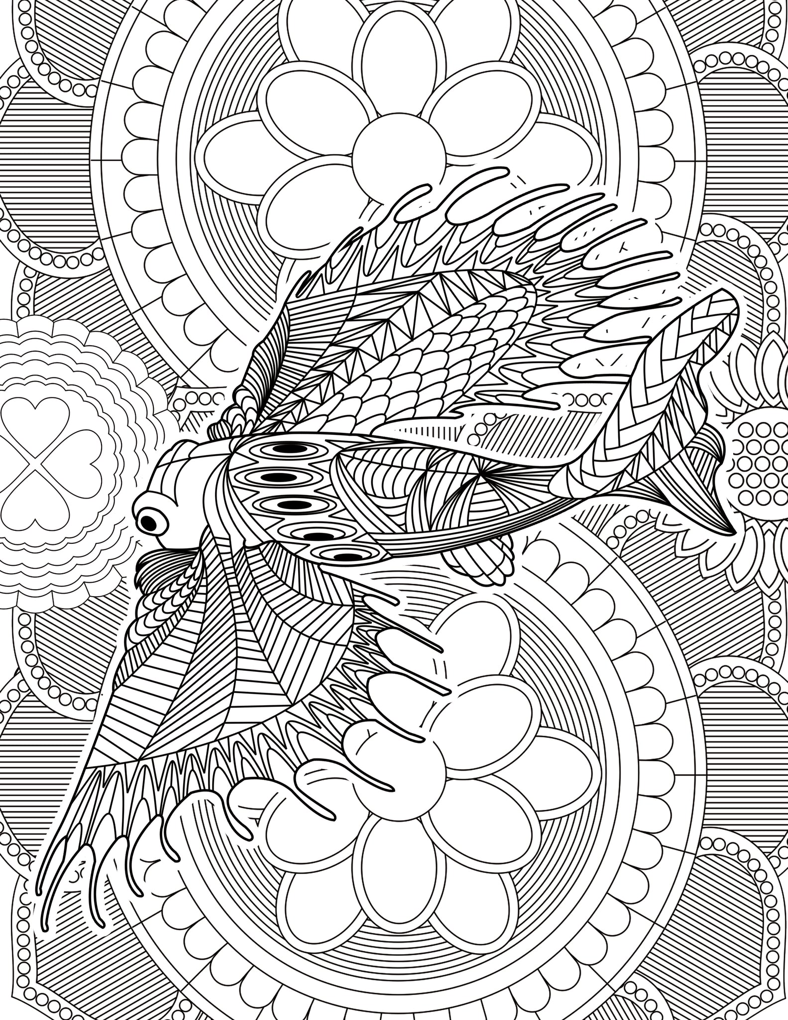 Adult Stress & the Effects of Coloring PLUS - Sea Life Pattern For Beg –  Learn to Draw Books