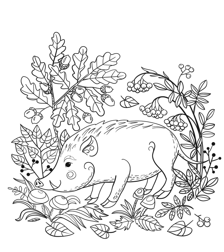 Wild Boar In The Forest Coloring Page - Free Printable Coloring Pages for  Kids