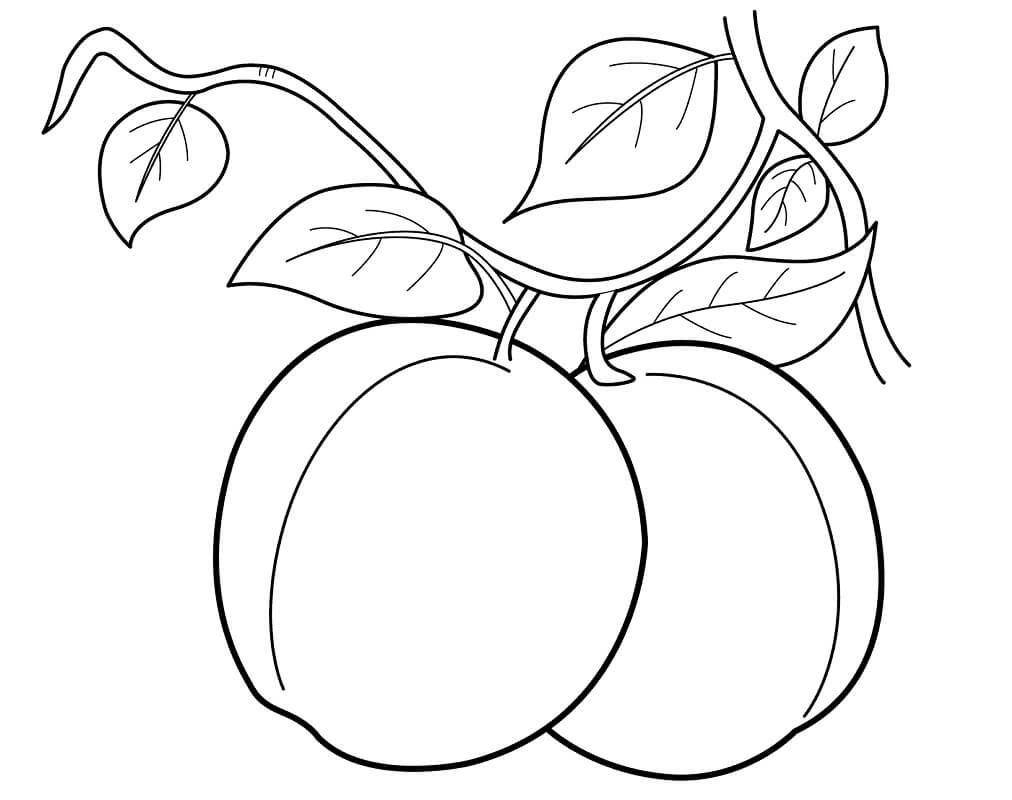 Two Peaches Coloring Page - Free Printable Coloring Pages for Kids