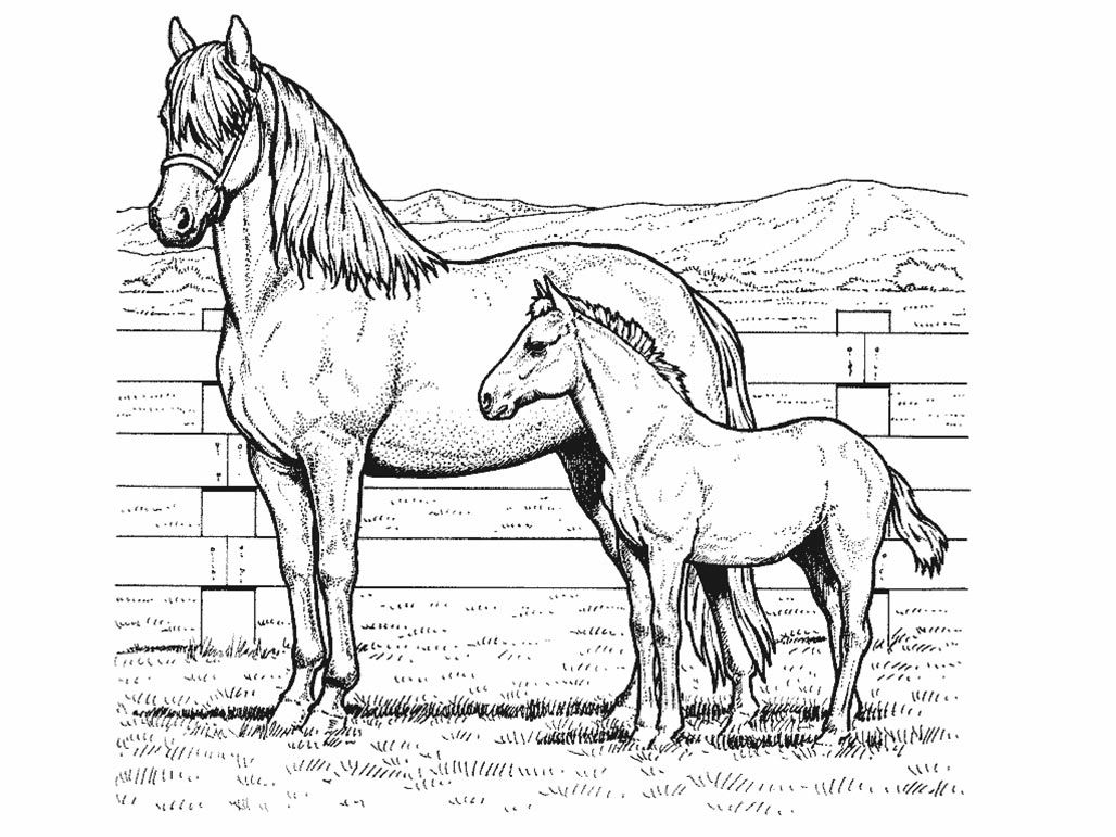 Free Printable Horse Running 2 Coloring Pages - VoteForVerde.com