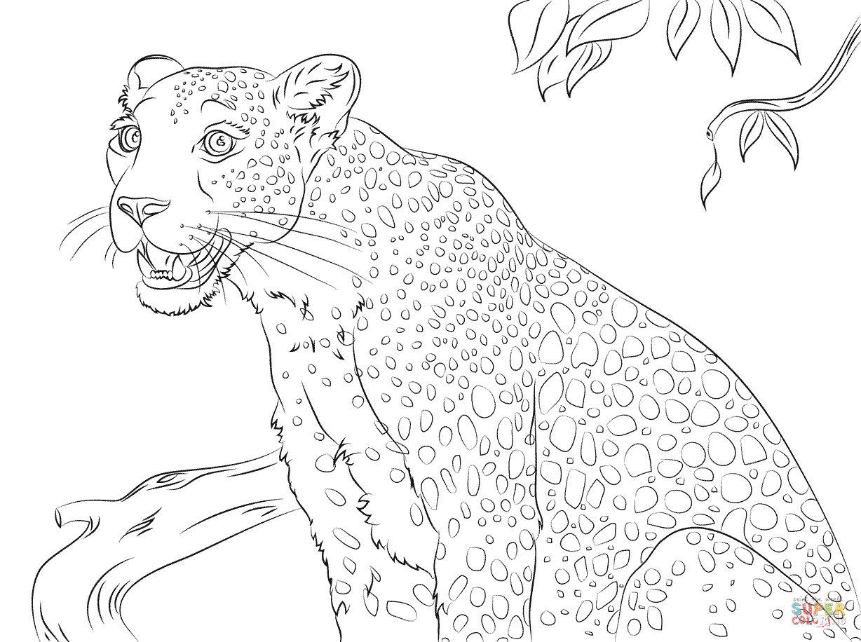 Cute Leopard coloring page | Free Printable Coloring Pages