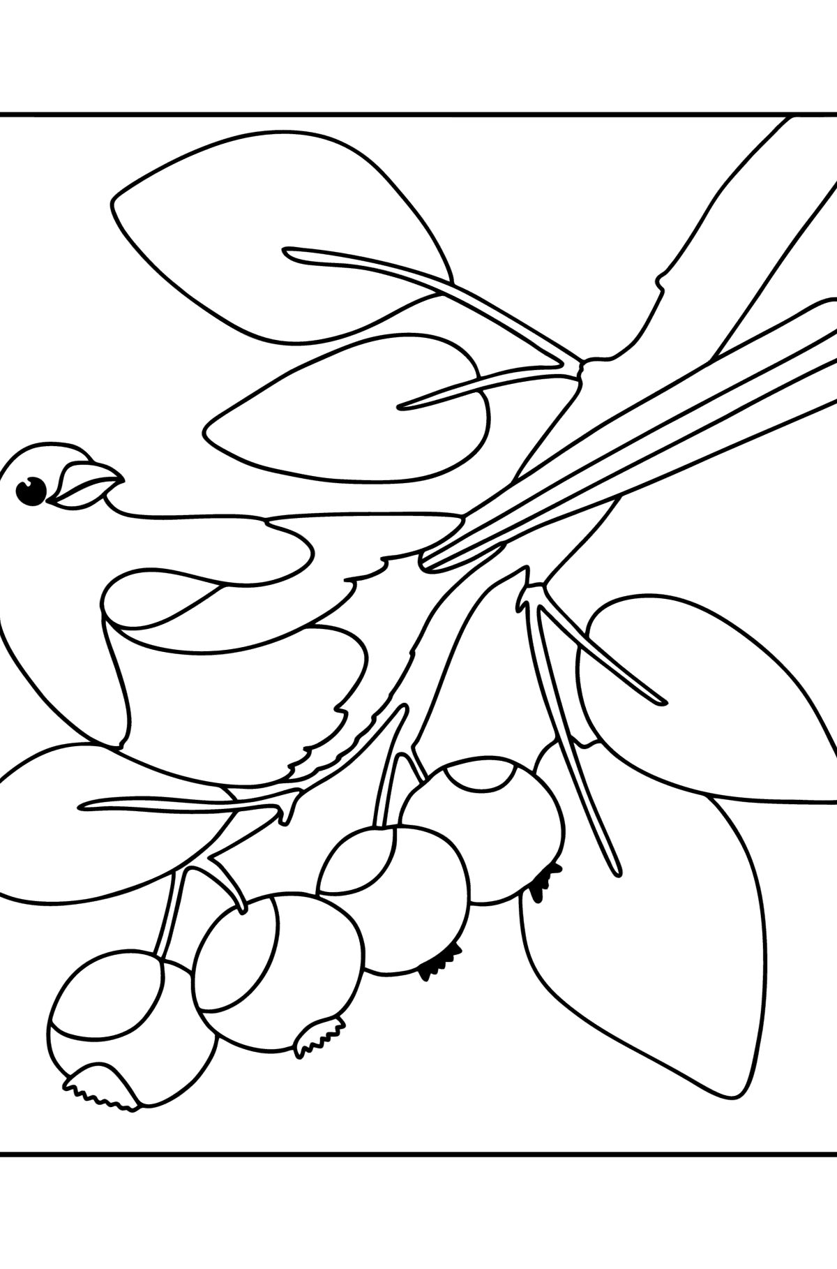 Magpie on a tree - Birds Coloring pages for Adults Online and Print