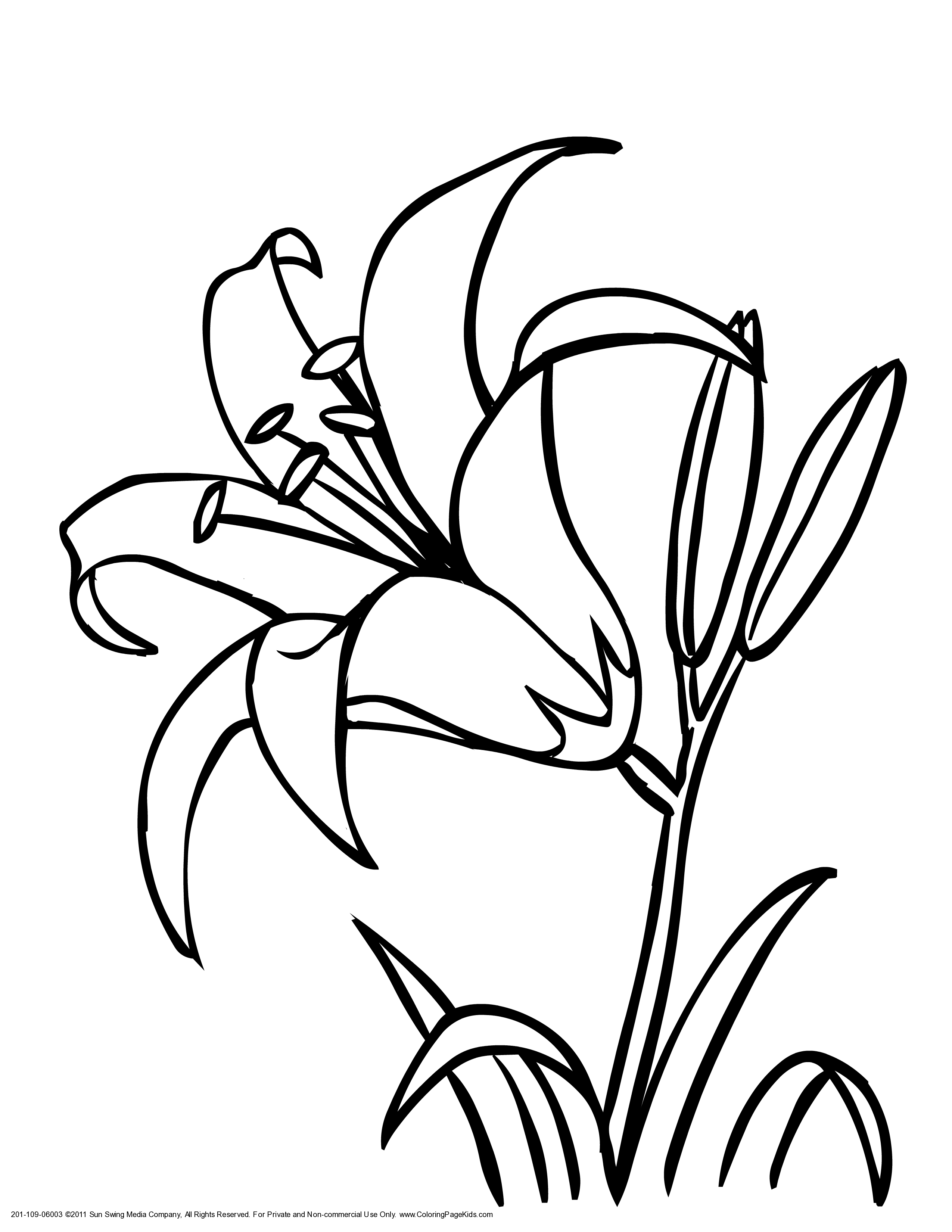 easter lily coloring pages - Clip Art Library
