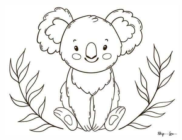 Koala Coloring Pages | Skip To My Lou