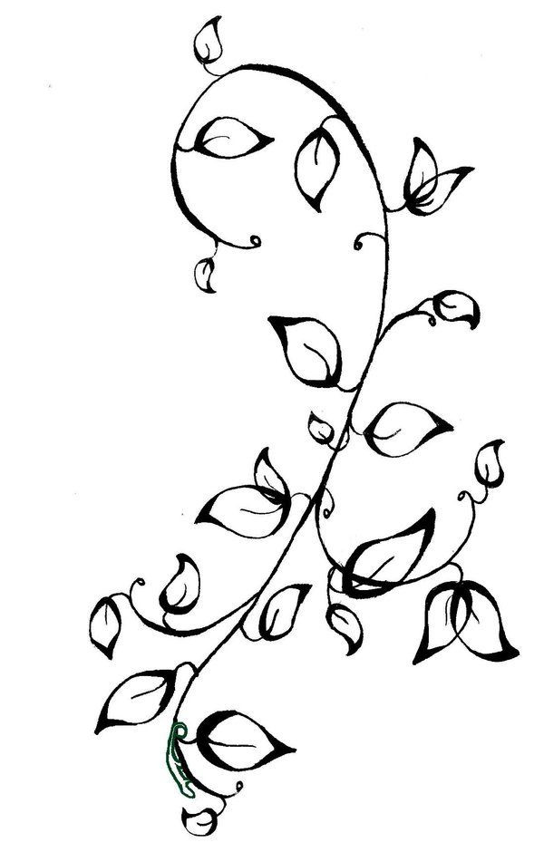 Coloring Pages Vines at GetDrawings | Free download