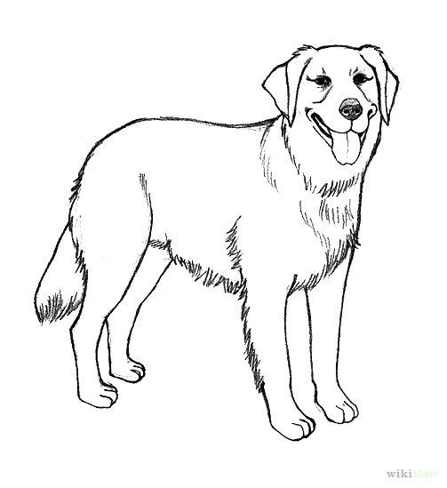 Dogs | Coloring pages, German ...
