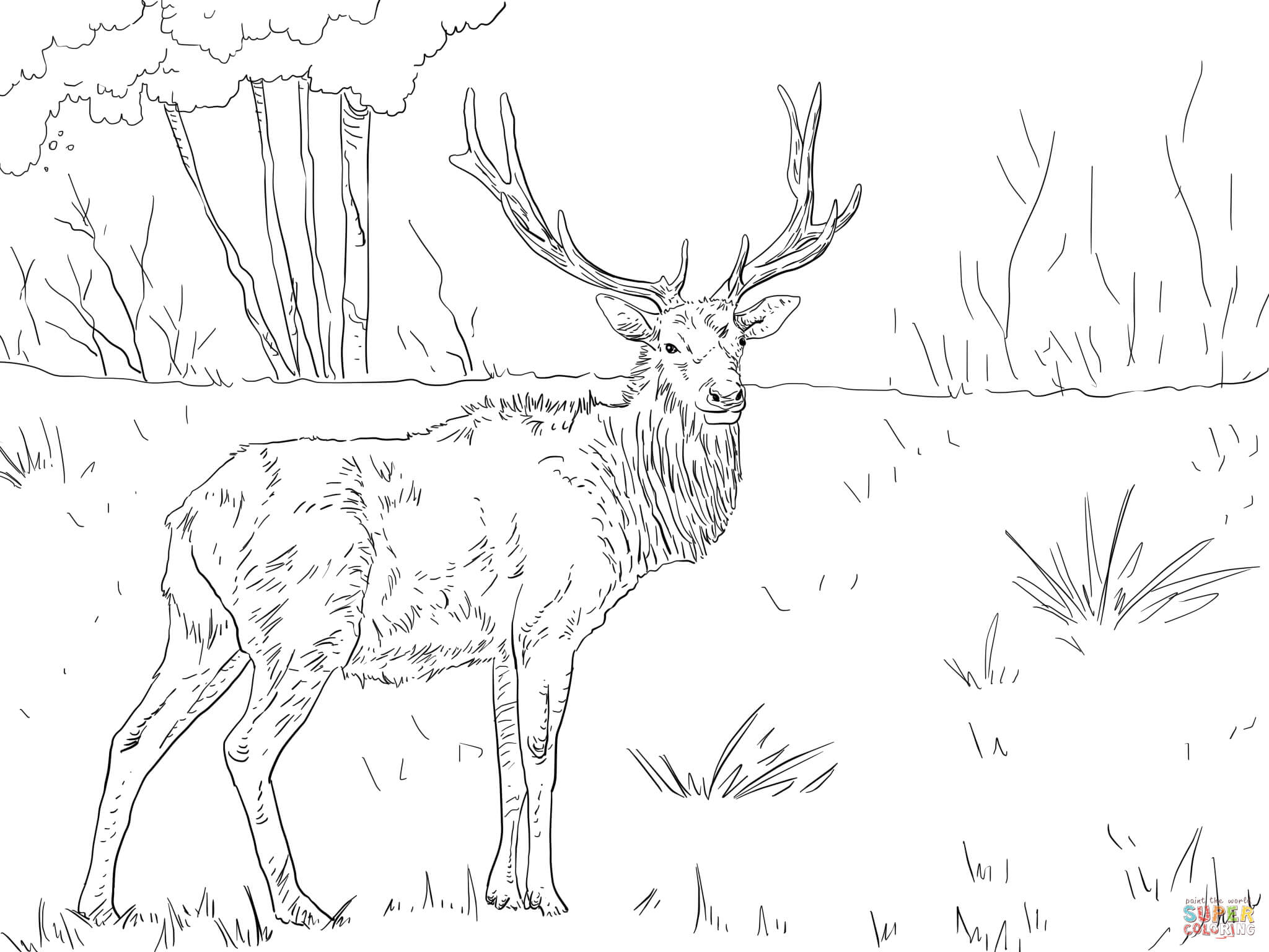 Elk - Coloring Pages for Kids and for Adults
