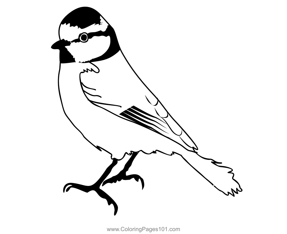 Blue Tit 1 Coloring Page for Kids - Free Bearded Tits Printable Coloring  Pages Online for Kids - ColoringPages101.com | Coloring Pages for Kids