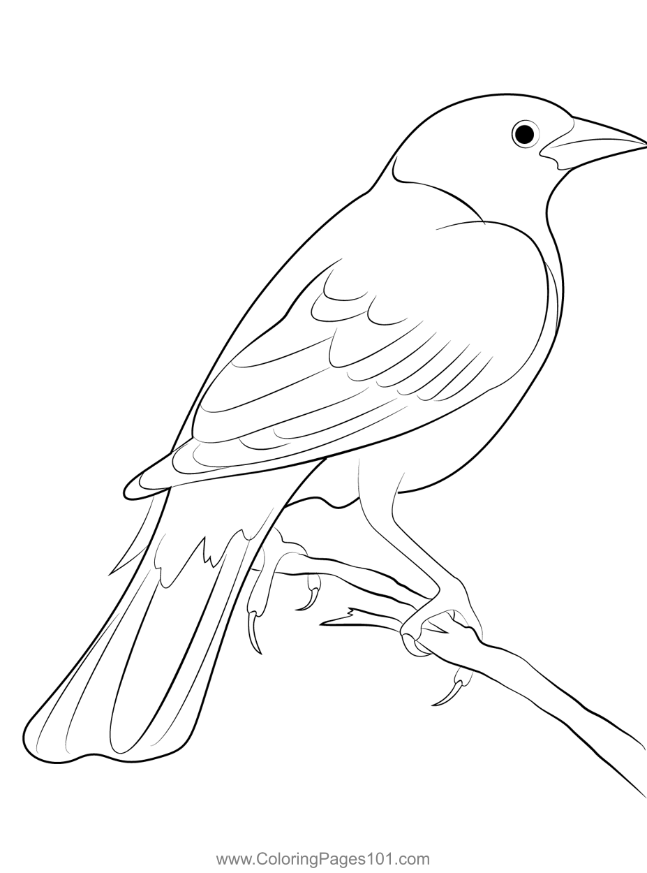 Blackbird In The Back Area Coloring Page for Kids - Free New World  Blackbirds Printable Coloring Pages Online for Kids - ColoringPages101.com  | Coloring Pages for Kids
