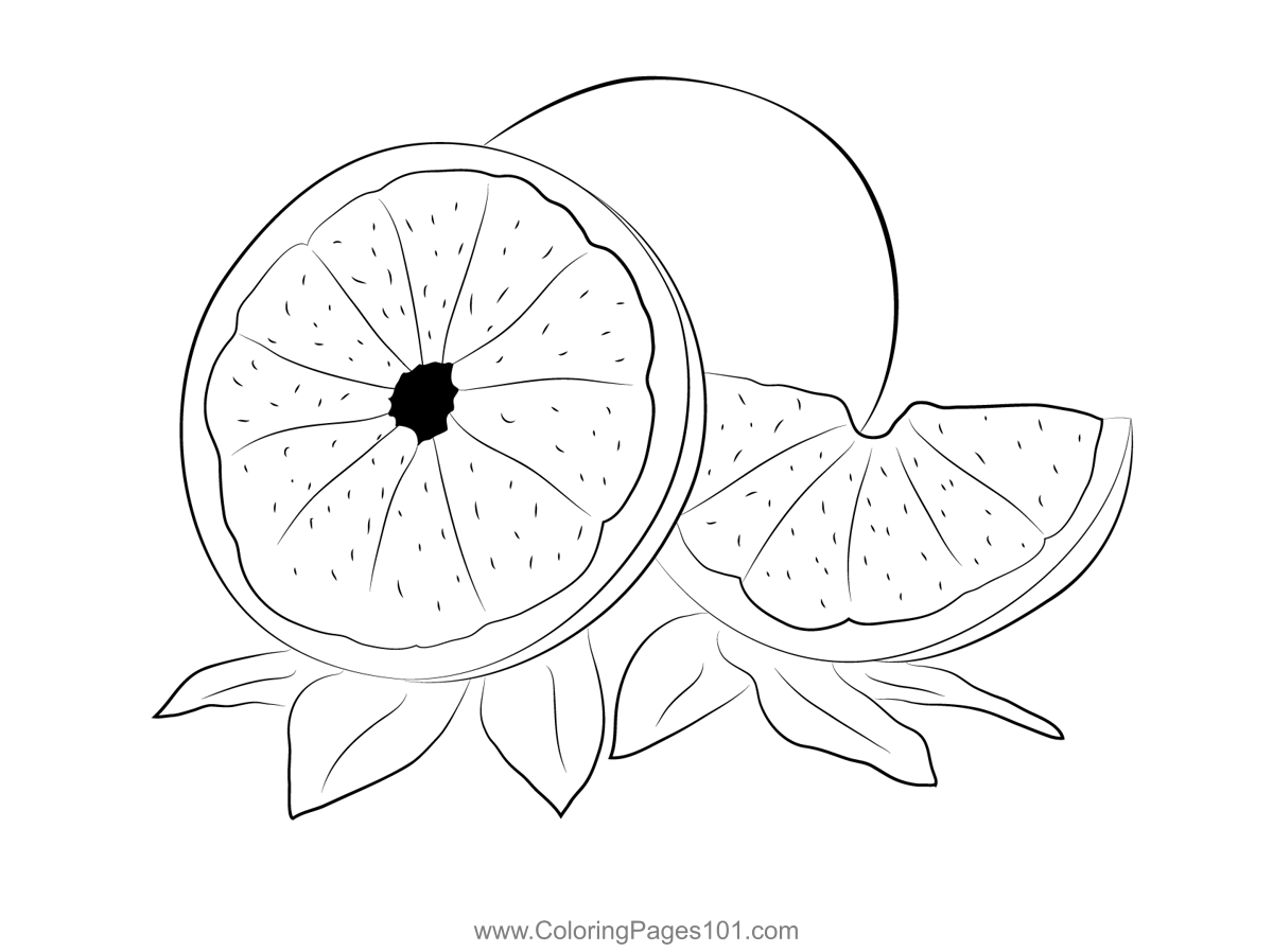 Grapefruit At Coloring Page for Kids - Free Grapefruit Printable Coloring  Pages Online for Kids - ColoringPages101.com | Coloring Pages for Kids