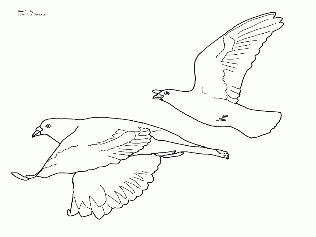 mo willems pigeon coloring pages free - Clip Art Library
