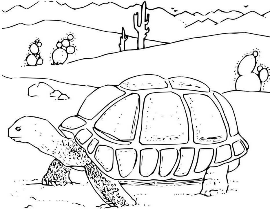 Tortoise Coloring Page for Kids - Free Printable Picture
