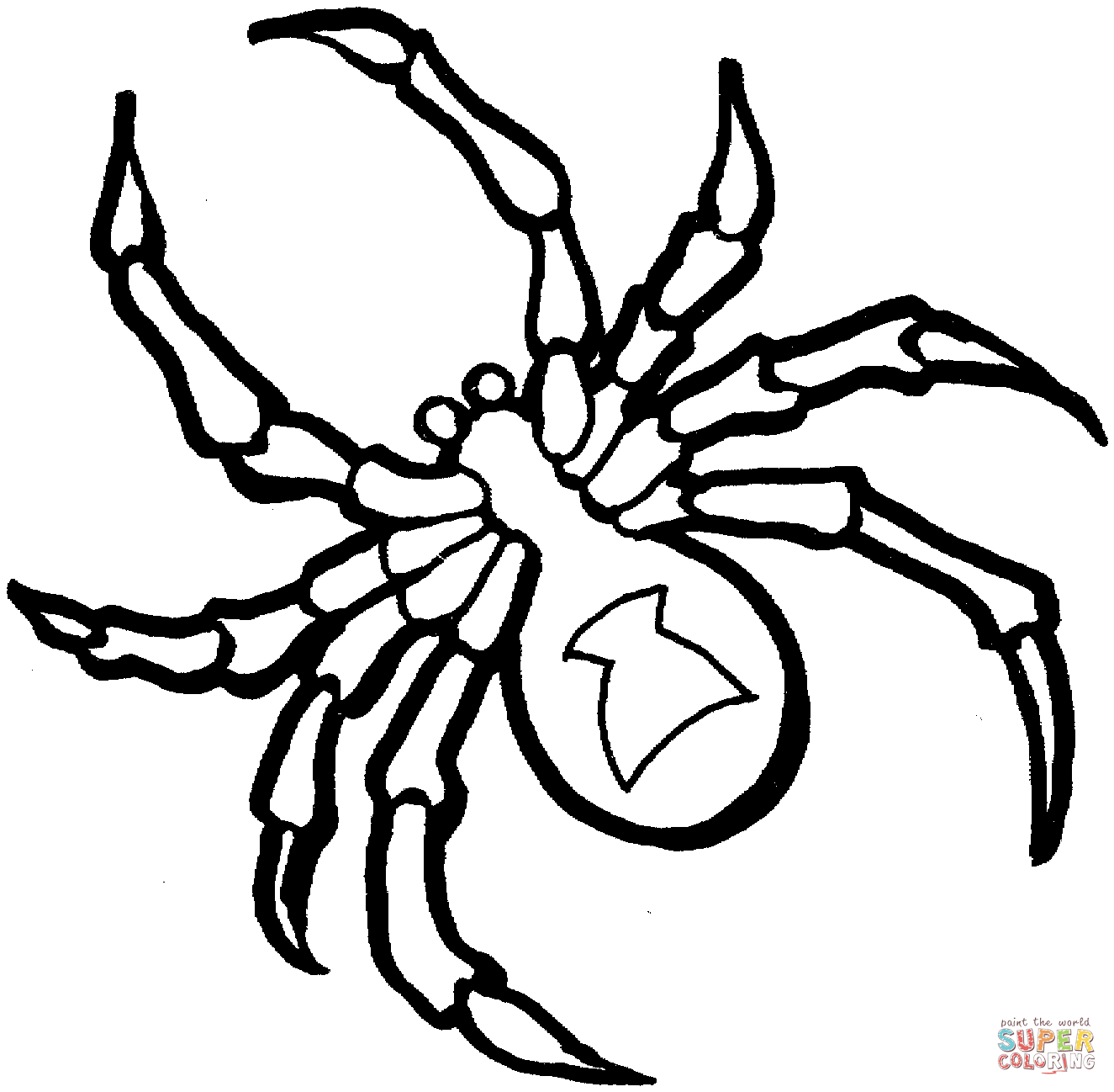 Spider coloring pages to download and print for free