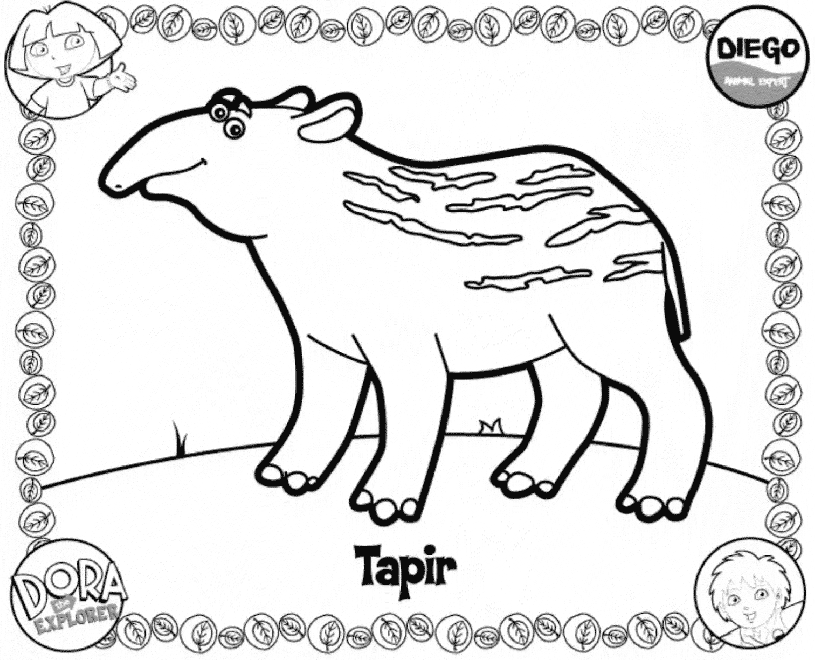 Tapir coloring page - Animals Town - animals color sheet - Tapir free  printable coloring pages animals