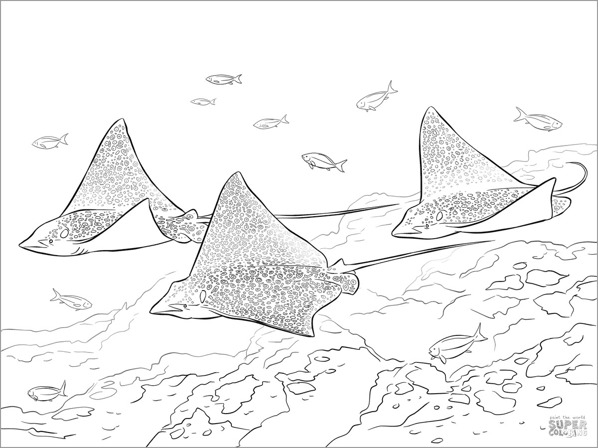 Printable Spotted Eagle Rays Coloring Page - ColoringBay