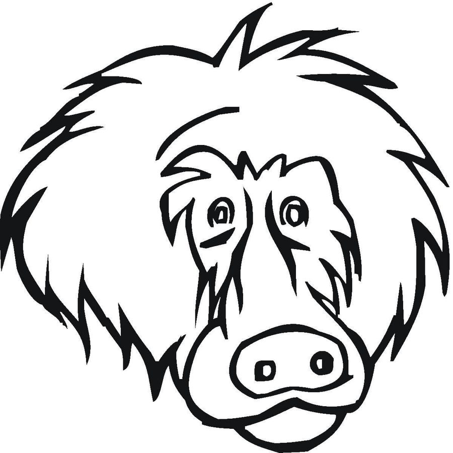 Coloring pages: Coloring pages: Baboon, printable for kids & adults, free