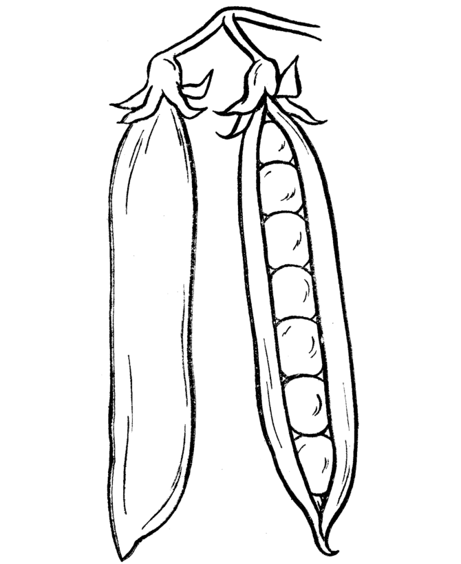 Vegetable Coloring Pages | Vegetable coloring pages, Flower coloring pages,  Fruit coloring pages