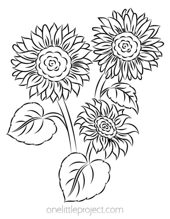 Free Printable Fall Coloring Sheets