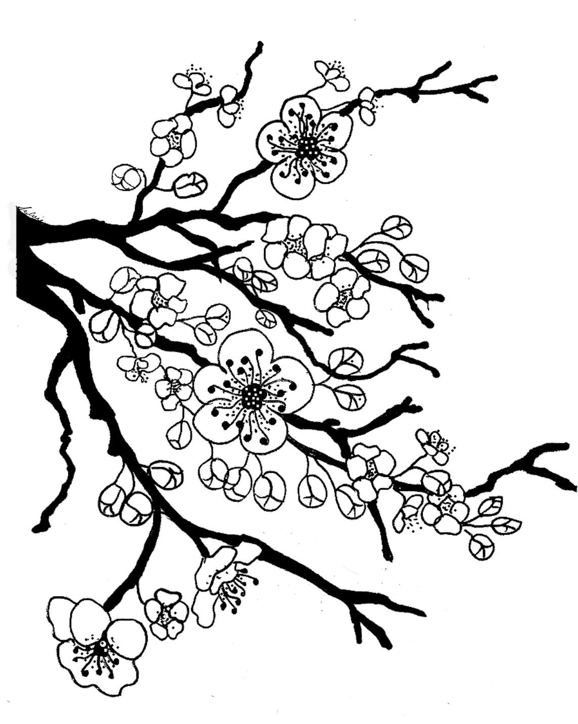 Cherry Blossom Coloring Pages - ClipArt Best