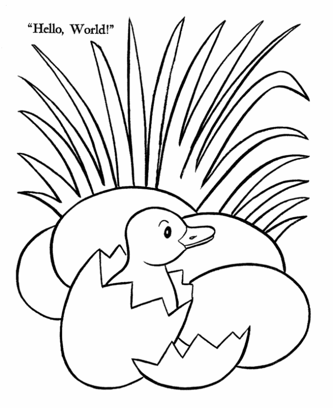 Baby Duck Coloring Page - Coloring Pages for Kids and for Adults