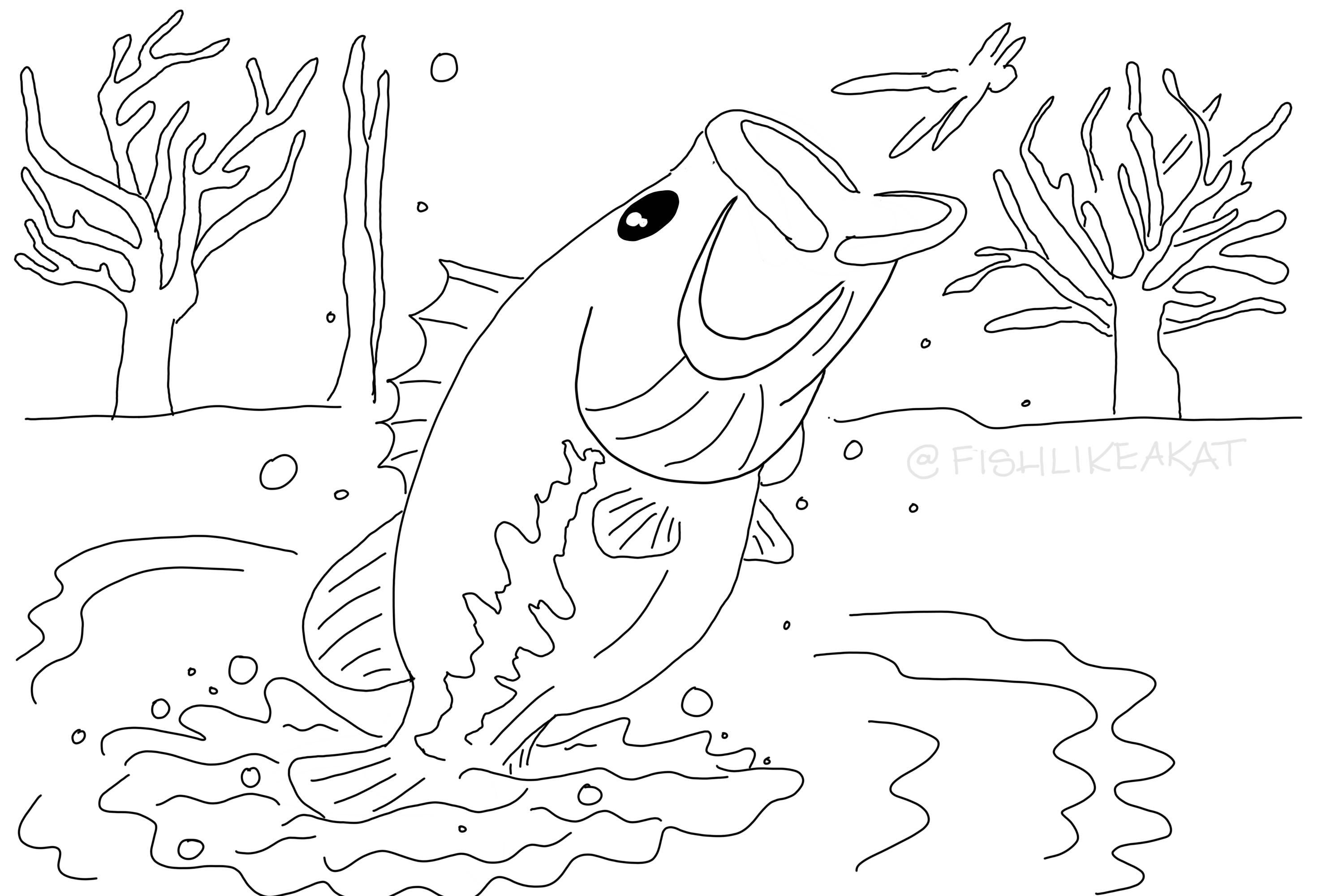 Chillax & Color: Free Fishing Coloring Pages