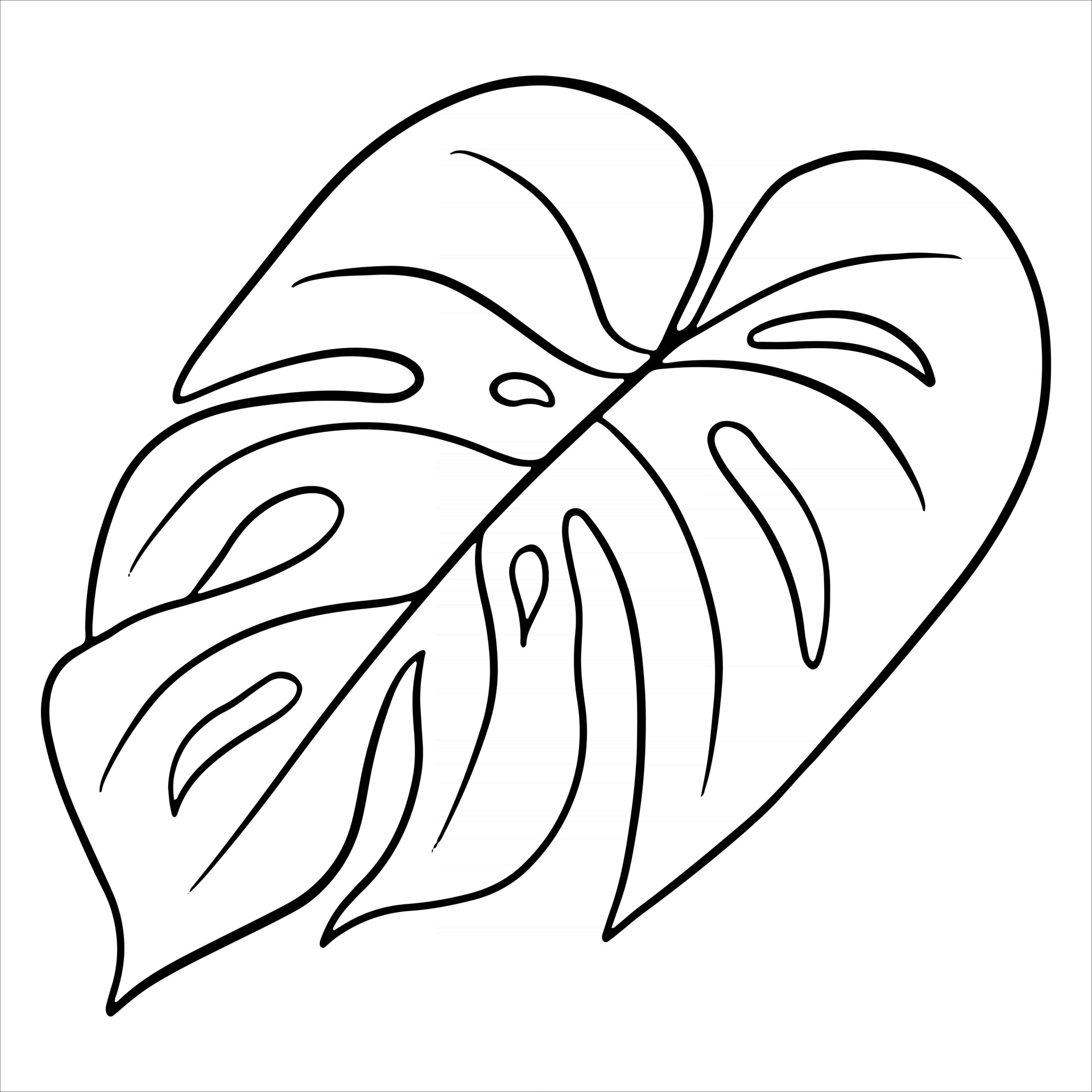 Tropical plants exotic carved green leaf in line style coloring book  3447728 Vector Art at Vecteezy