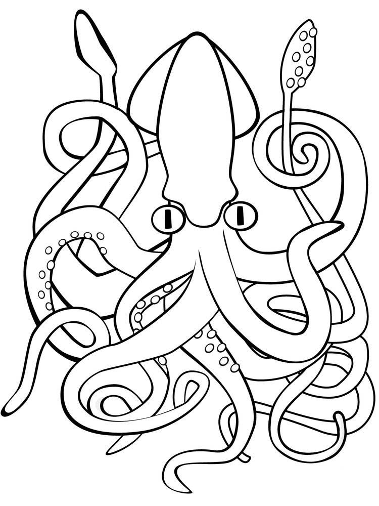 Squid Coloring Page | Animal coloring pages, Coloring pages, Whale coloring  pages