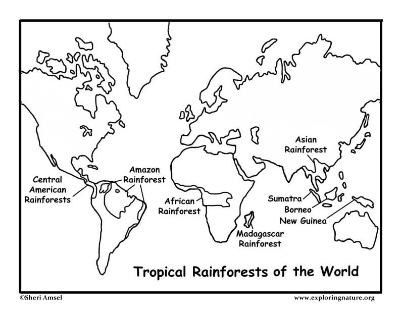 Rainforests of the World Coloring Page
