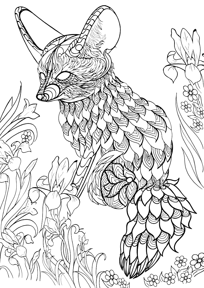 Fennec fox coloring pages | Coloring pages to download and print