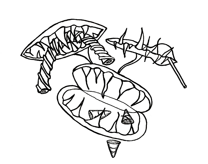 Creepy Halloween Faces and Candy-Loving Venus Fly Traps: Free Digital  Stamps – wonderstrange arts