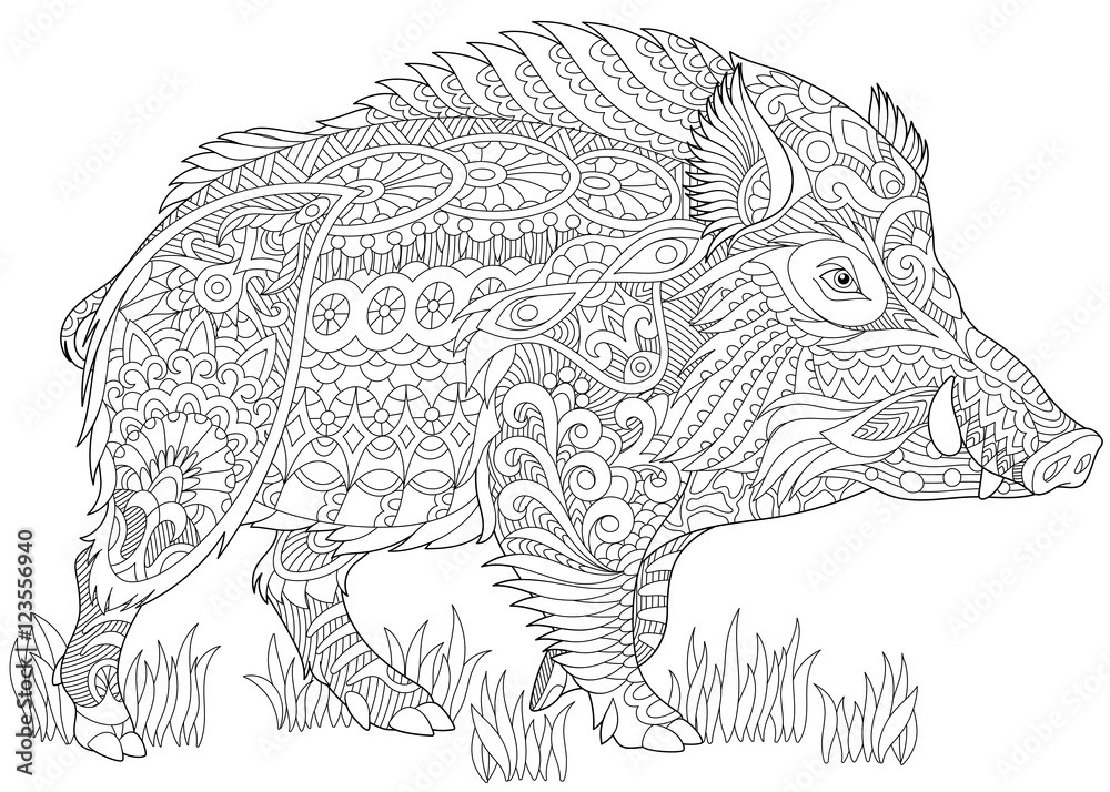 Stylized wild boar (razorback, warthog, hog, pig). Freehand sketch for  adult anti stress coloring book page with doodle and zentangle elements.  Stock Vector | Adobe Stock