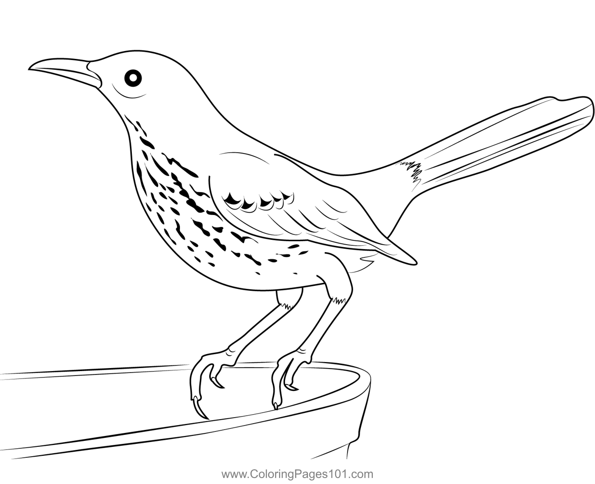 Brown Thrasher 9 Coloring Page for Kids - Free Mockingbirds Printable Coloring  Pages Online for Kids - ColoringPages101.com | Coloring Pages for Kids