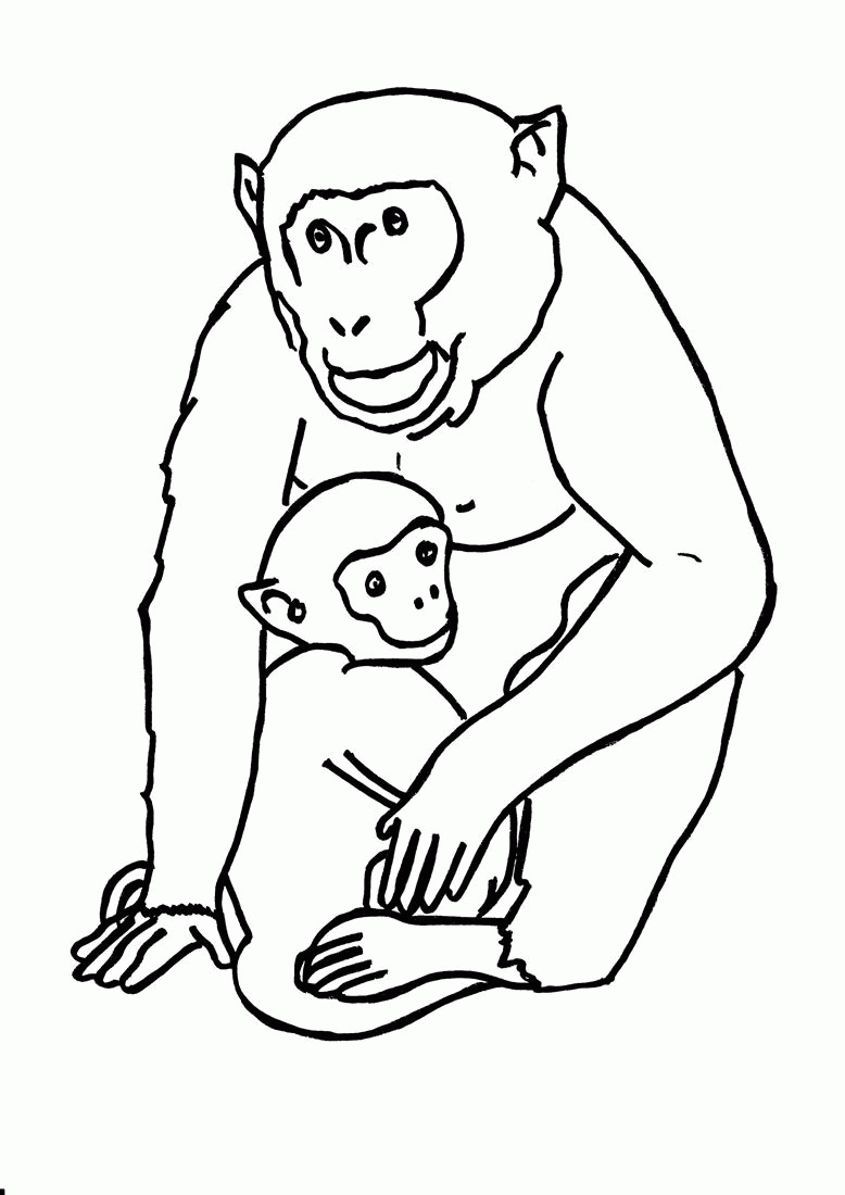 Gorilla Coloring Pages To Print - High Quality Coloring Pages
