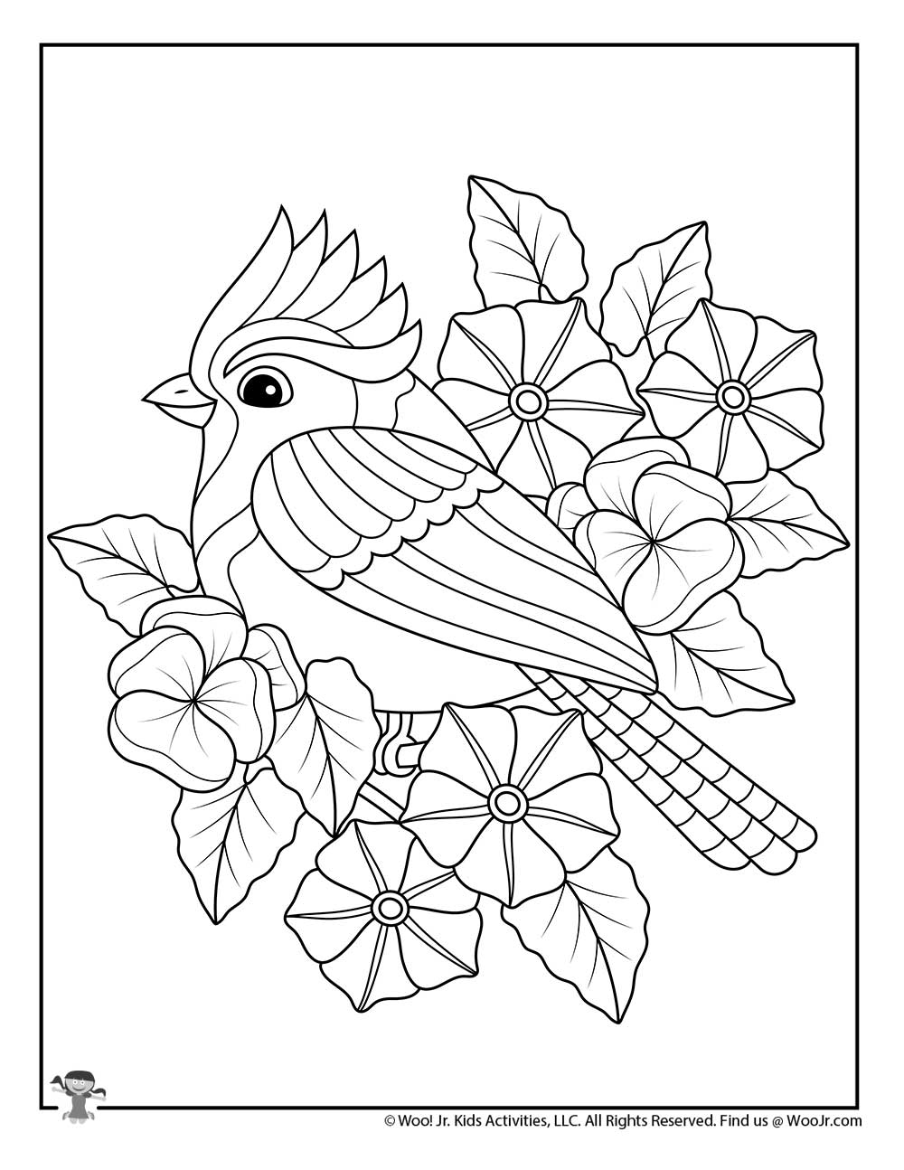 Spring Blue Jay Easy Adult Coloring Page | Woo! Jr. Kids Activities :  Children's Publishing