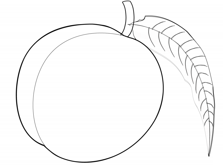 A Peach Coloring Page - Free Printable Coloring Pages for Kids