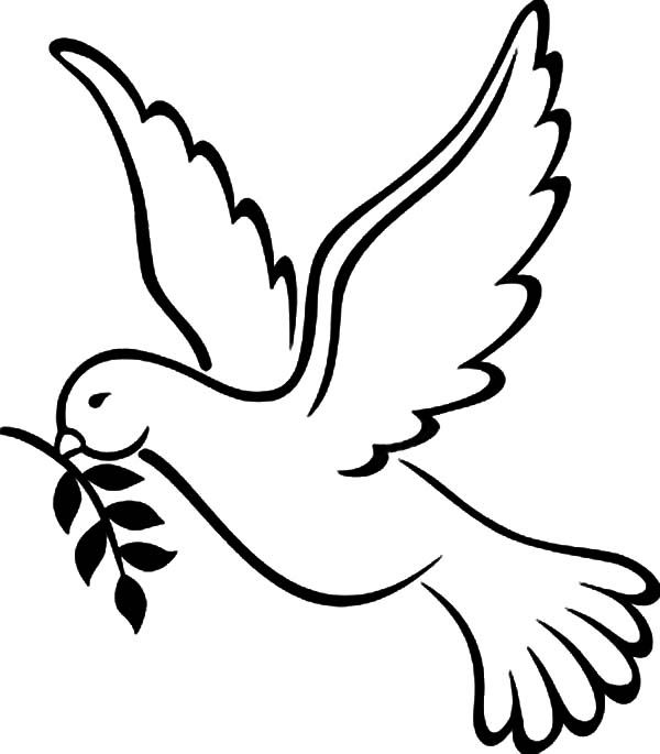 Free Peace Dove Coloring Pages - Pages