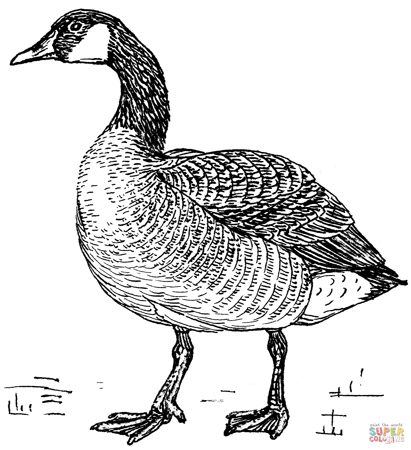 Canada Goose in Flight coloring page | Free Printable Coloring Pages