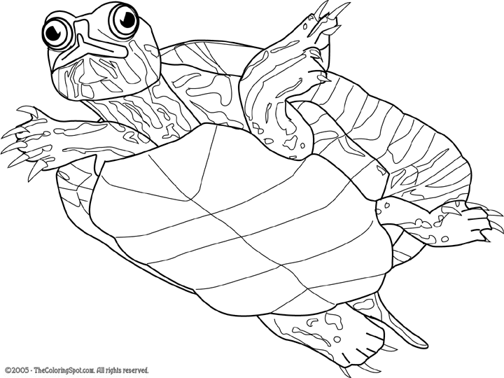 turtle-coloring-audio-stories-for-kids-free-coloring-page-coloring