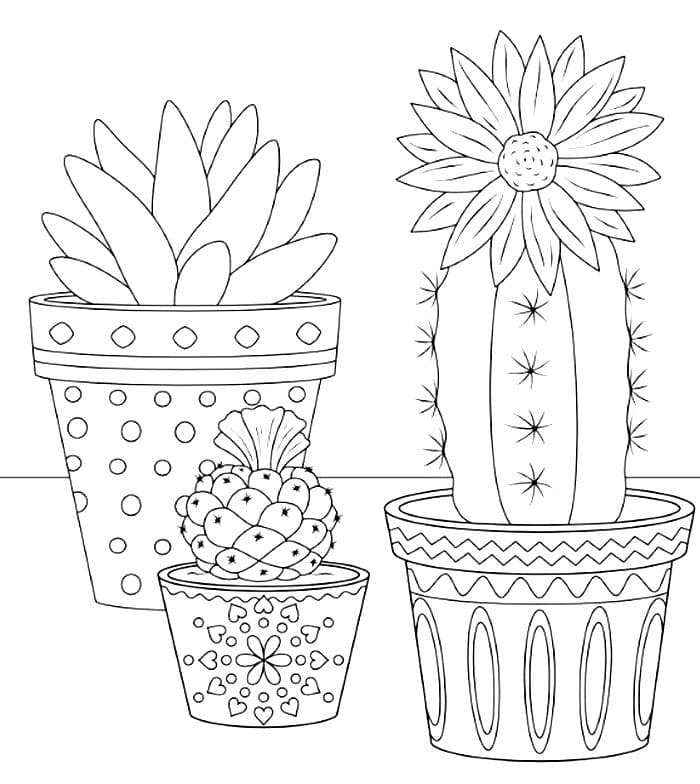 Cactus Coloring pages - 100 Coloring Pages to print for free