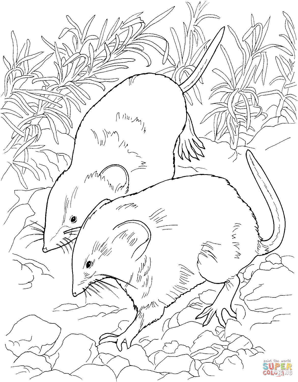 Field Mice coloring page | Free Printable Coloring Pages