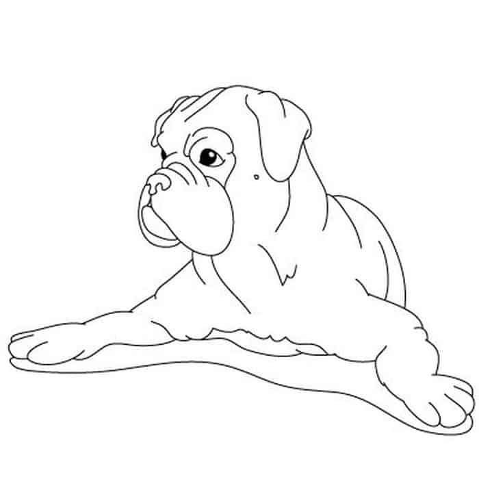 Pin on Popular Coloring Pages