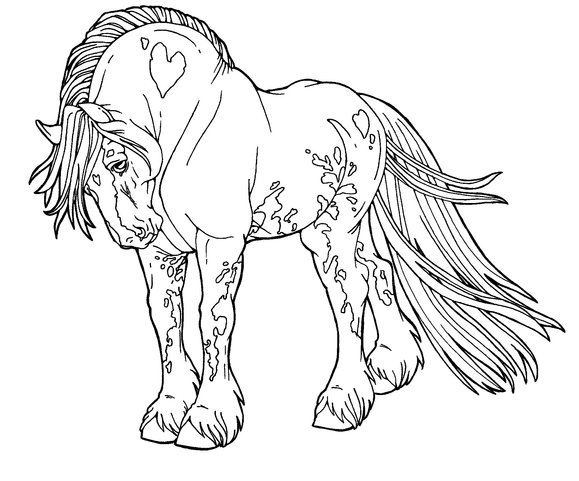 Free Lines-Gypsy Drum Horse by AppleHunter on deviantART | Horse coloring  pages, Horse coloring, Animal coloring pages