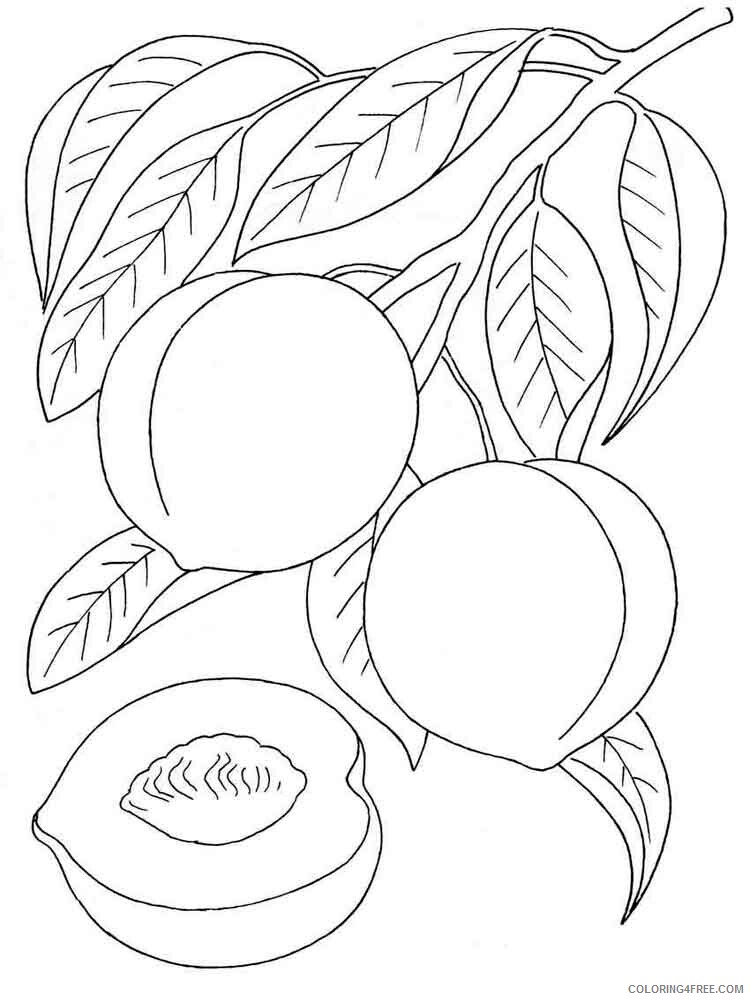 Peach Coloring Pages Fruits Food Peach fruits 2 Printable 2021 325  Coloring4free - Coloring4Free.com