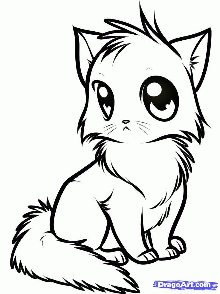 Cats Coloring Pages Of Animals - Coloring Pages For All Ages