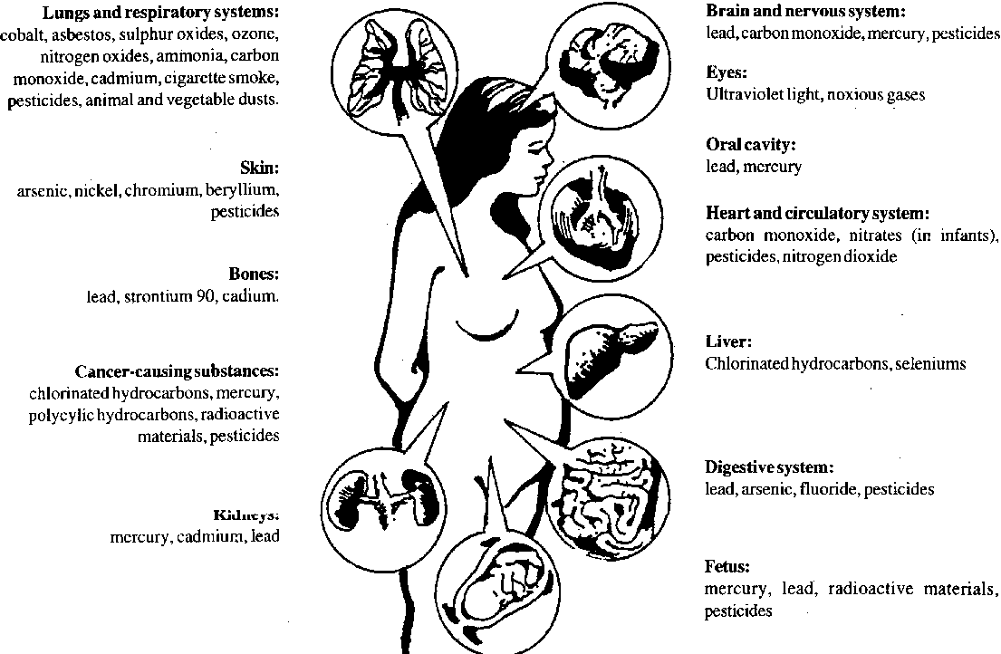Basic Concepts in Environment, Agriculture and Natural Resources ...