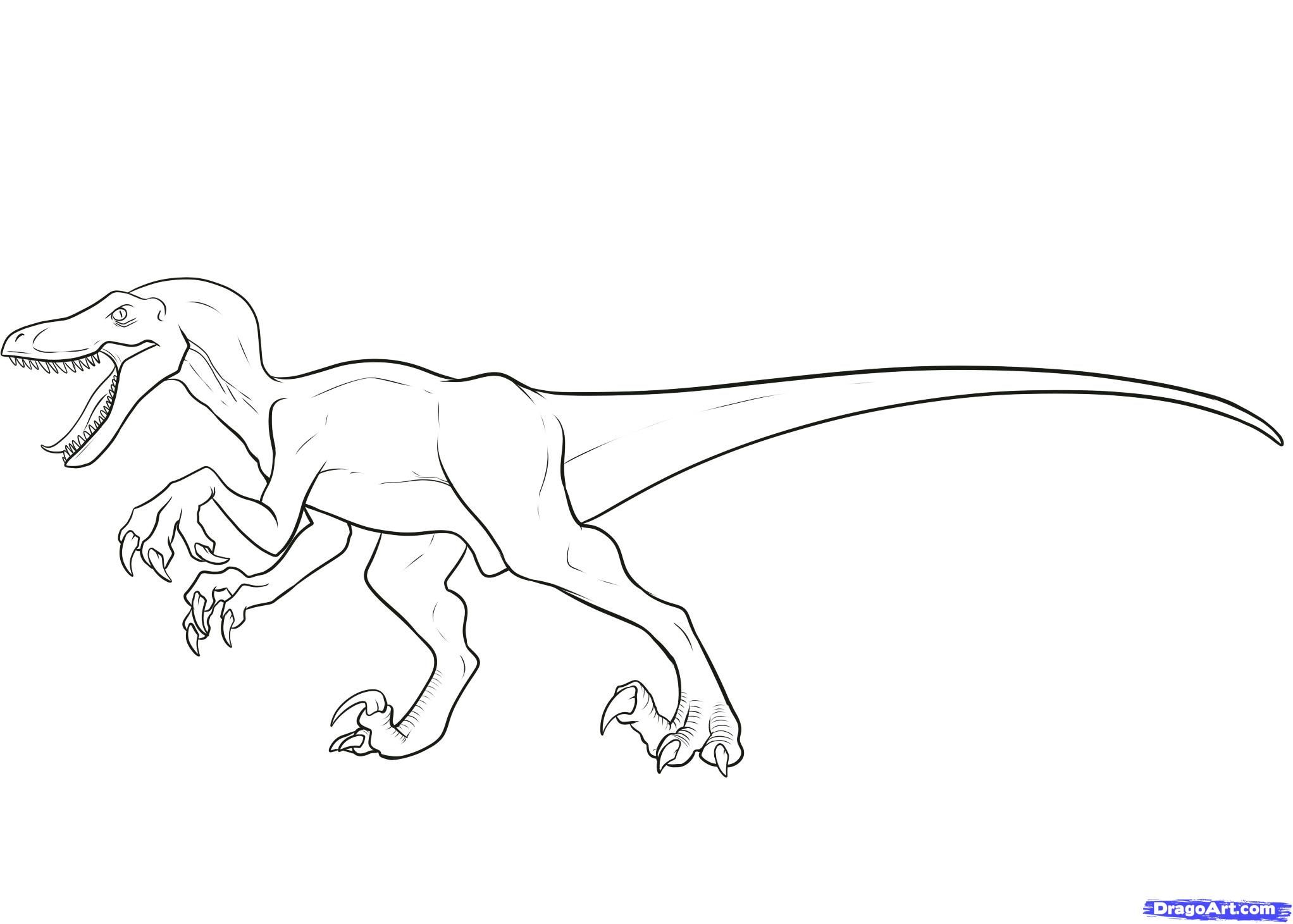 Jurassic World Raptor Coloring Pages to Print Pdf Raptor Jurassic World Coloring  Pages for Kids - Ecolorings.info