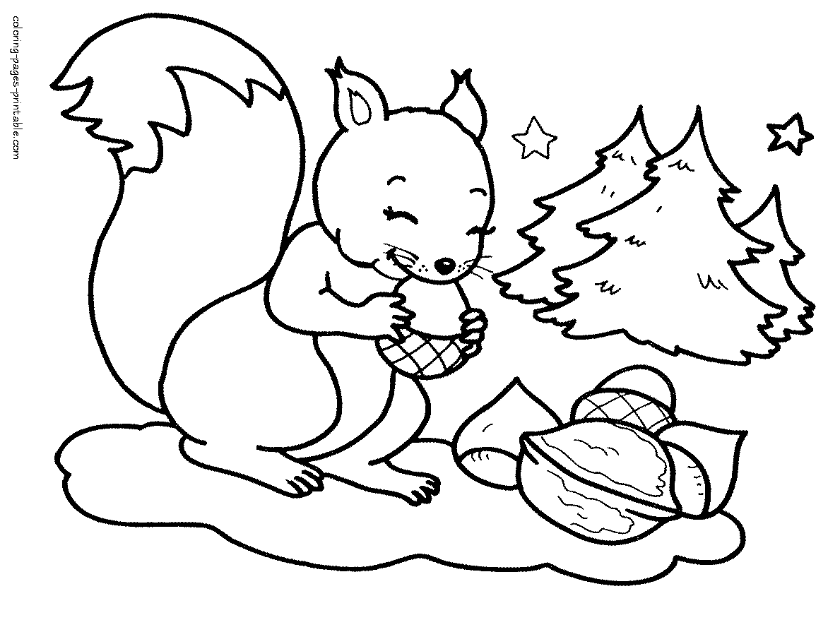 Squirrel with nuts coloring page || COLORING-PAGES-PRINTABLE.COM