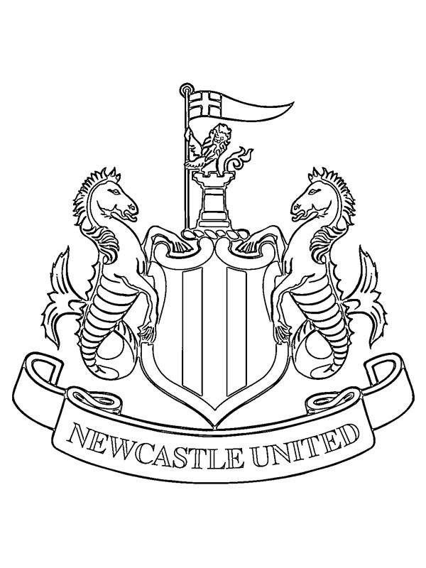 Newcastle United FC in 2023 | Newcastle united fc, Newcastle, Newcastle  united